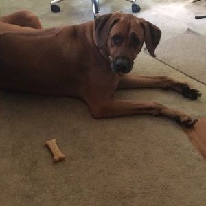 Meet your Posher, Jose